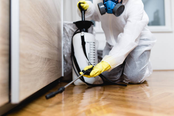 Best Cockroach Control Services  in Parker, CO