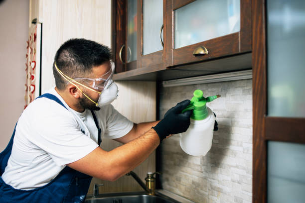 Best Commercial Pest Control Services  in Parker, CO