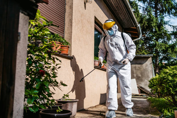 Best Mosquito Control Services  in Parker, CO