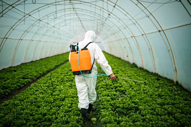 Best Pest Control Cost  in Parker, CO