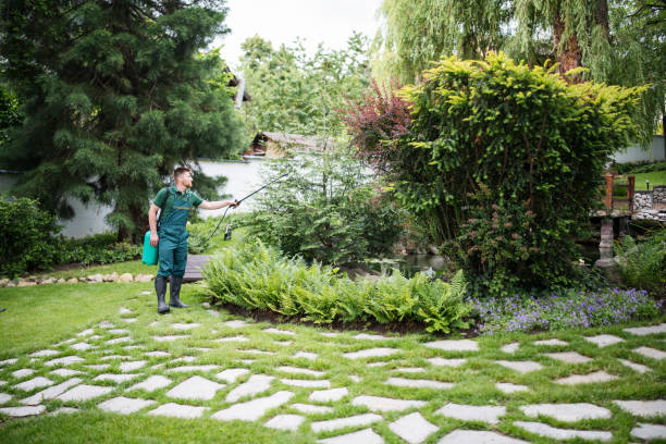 Best Pest Removal Services  in Parker, CO