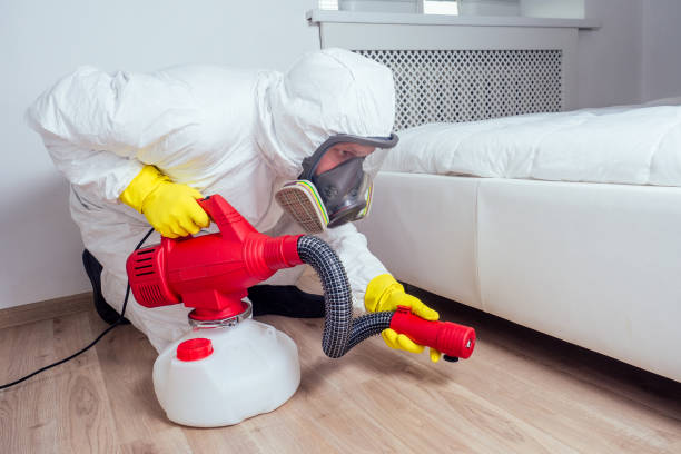 Best Pest Removal Services  in Parker, CO