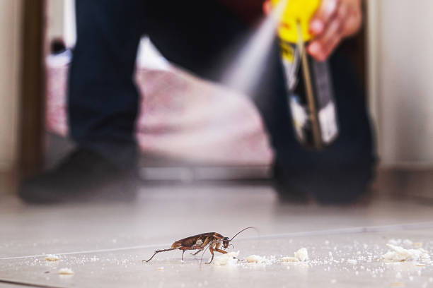 Best Wildlife Control Services  in Parker, CO